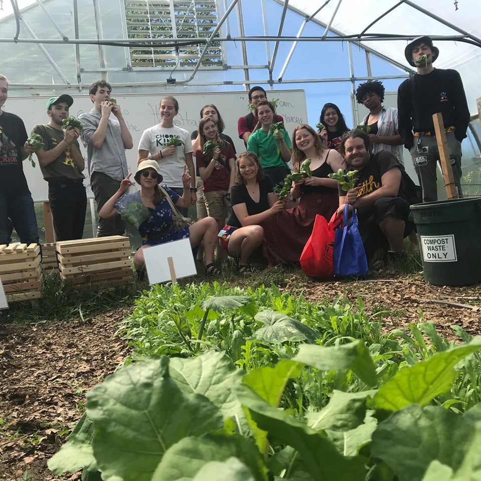 Students in the hoop house