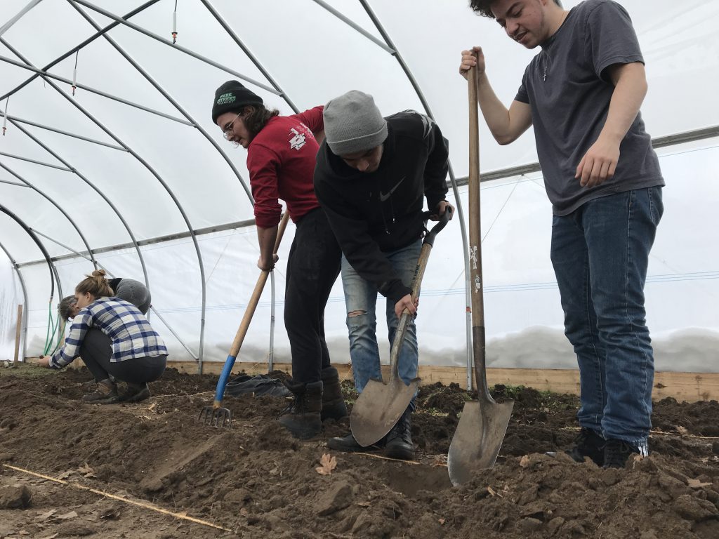 Students digging in the hoop house