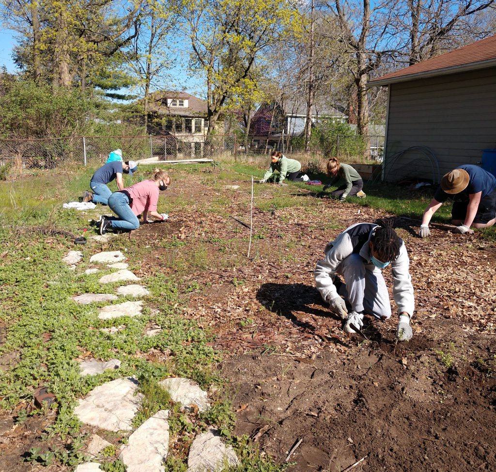 Students working in the garden